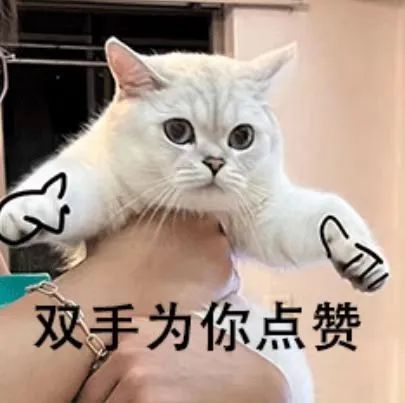 AG一飞冲天300倍游戏(中国游)·官方网站